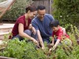 Family Fun: Gardening