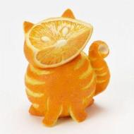 orange-cat-made-of-orange-found-on-facebook
