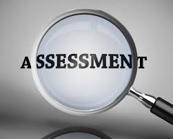 assessment