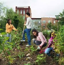 communitygarden