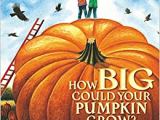 How Big Could Your Pumpkin&nbsp;Grow?